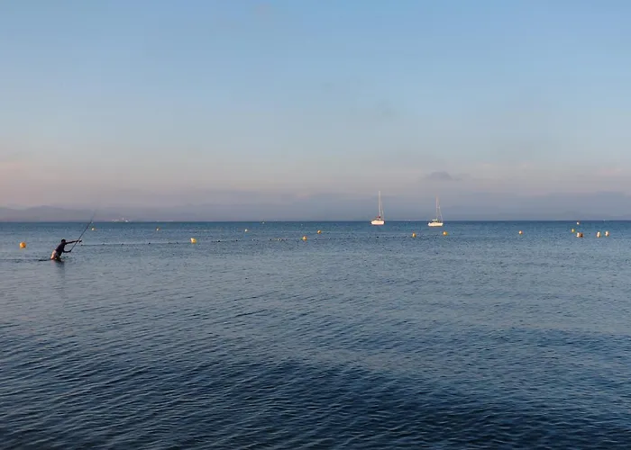 Acces Prive De La Bergerie * Hyères